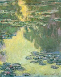 Seerosen